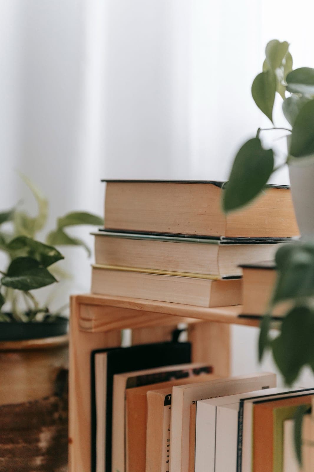 Une pile de livres de poche bien lus sur une petite étagère en bois, près de plantes